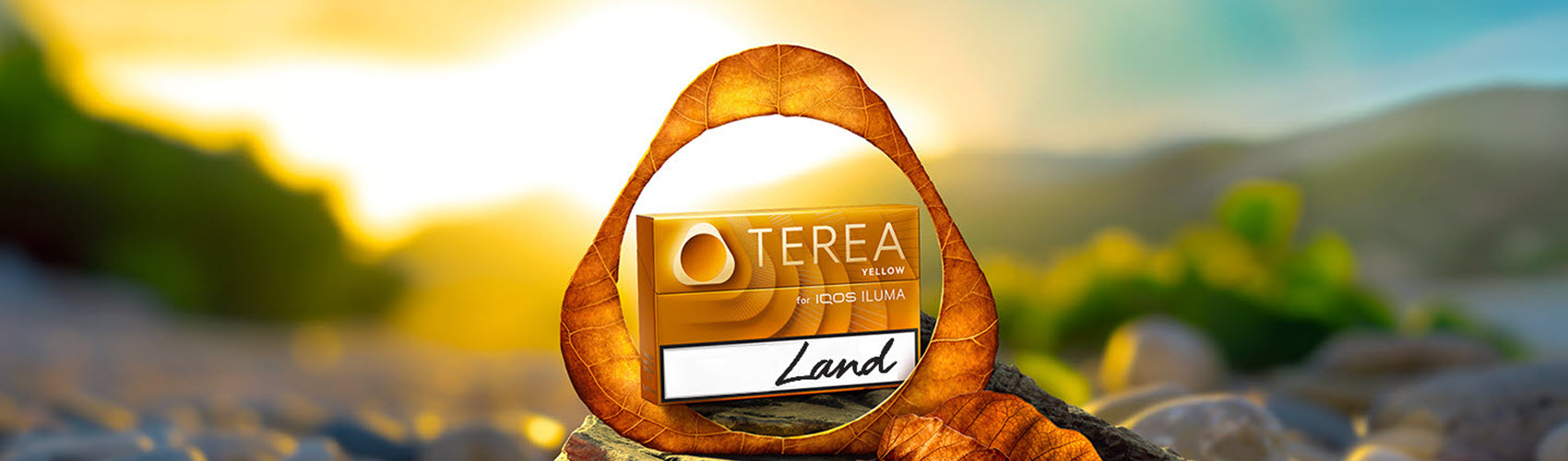 TEREA для IQOS ILUMA